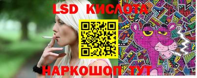 прущие грибы Канаш