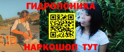 прущие грибы Канаш