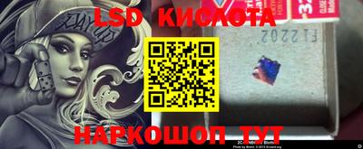 прущие грибы Канаш
