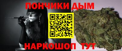 apvp Камышлов
